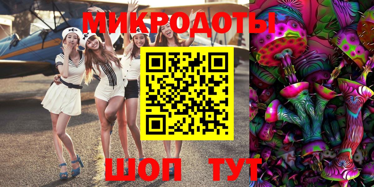 Галлюциногенные грибы Psilocybe Сальск